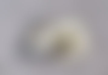 Bath Drain or Shower Drain Blocked