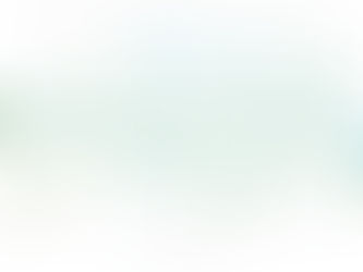 Zonder ijs gaan we met onze hakken over de sloot