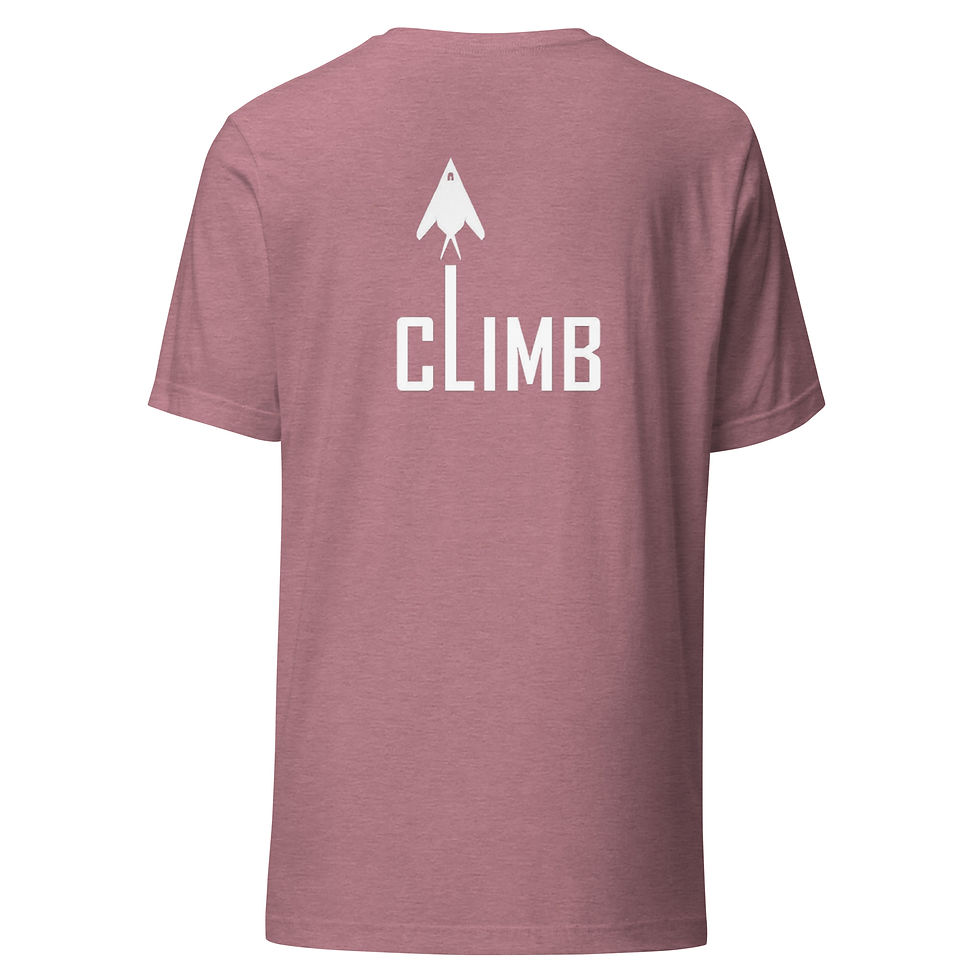 Thumbnail: F-117 Nighthawk - Climb (White)