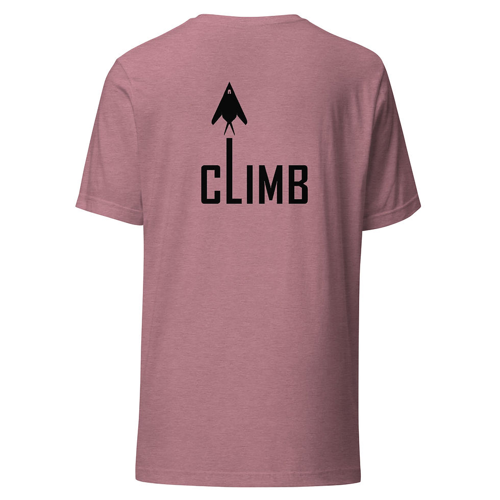 Thumbnail: F-117 Nighthawk - Climb (Black)