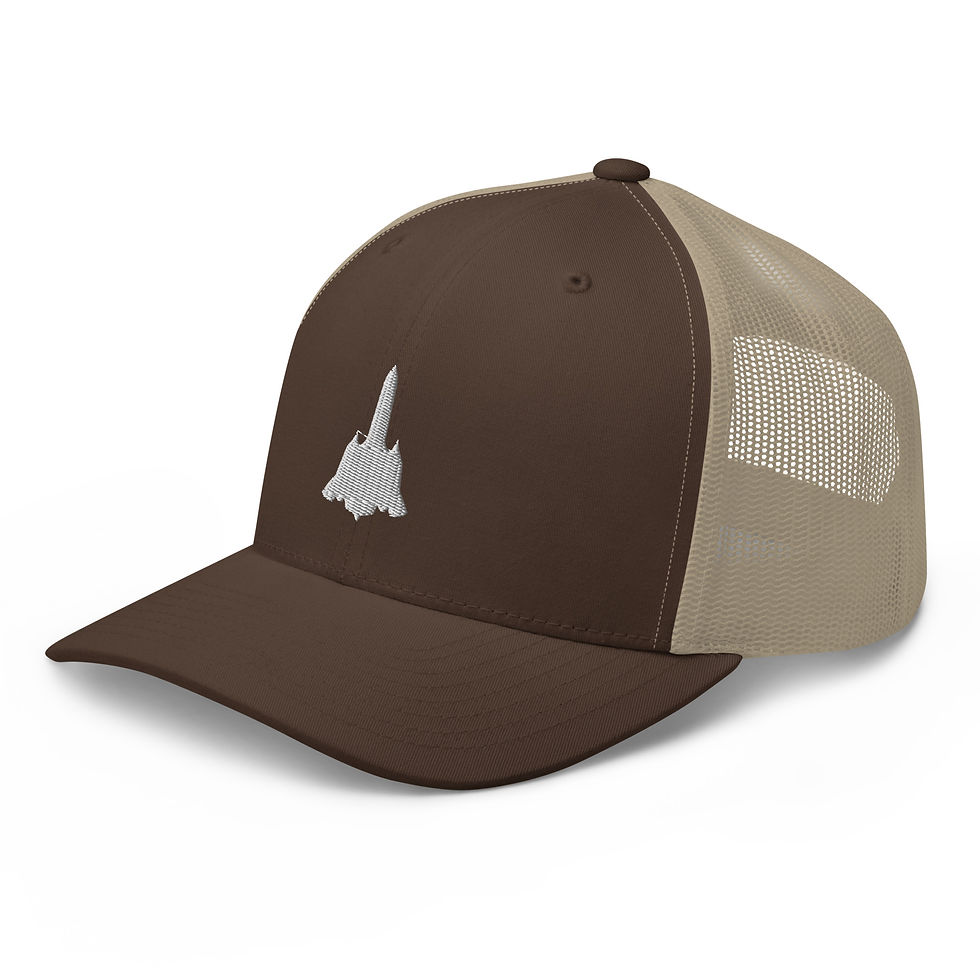 Thumbnail: SR-71 Blackbird - Trucker (White)