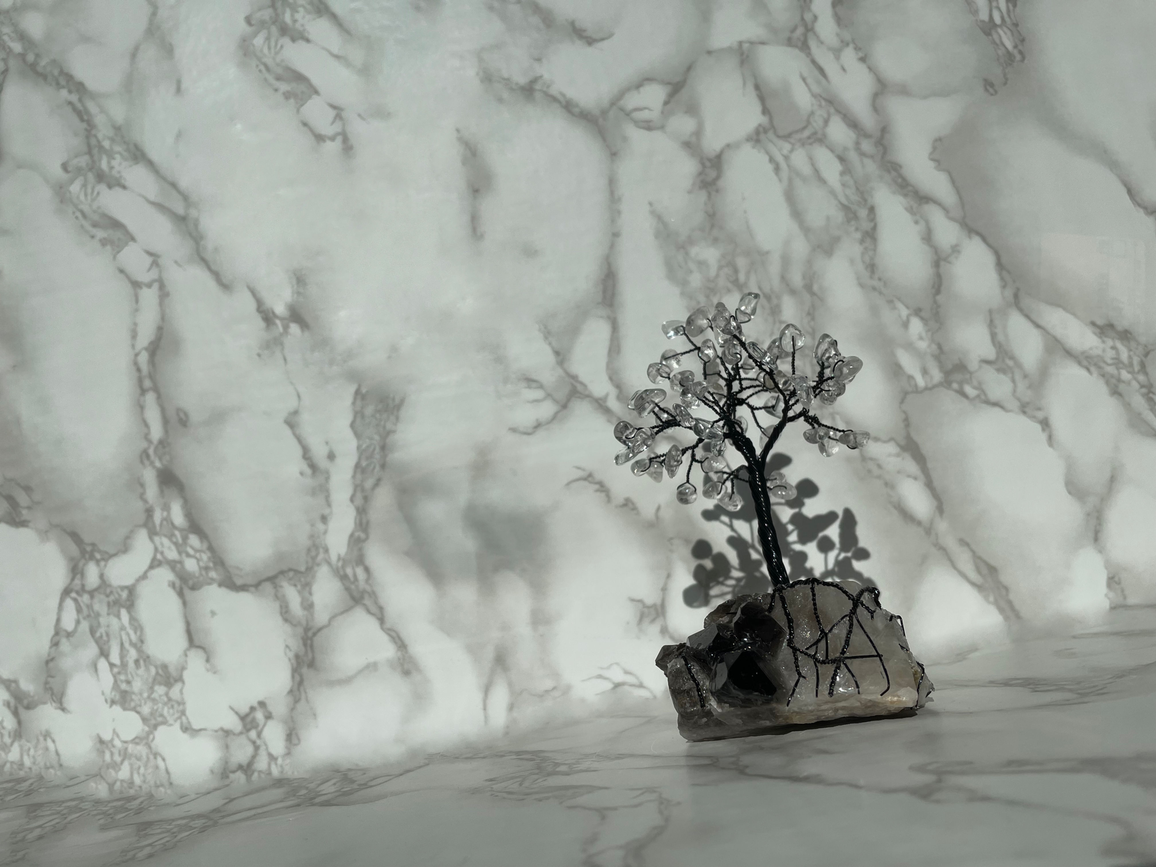 “Black Magic” Clear Quartz & Black Wire Tree on Smoky Quartz