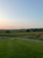 zoomed out corn field.jpeg