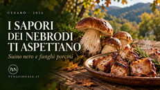 Sagra Suino Nero e Porcino Cesarò 2026 programma e date