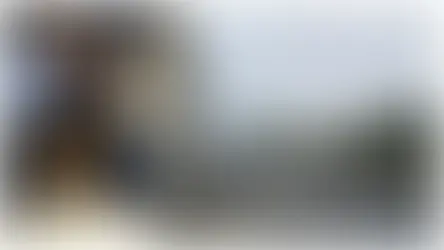 Dramma a Cascina: Zoe Mancarelli muore a 7 anni travolta sulle strisce col nonno. I genitori donano gli organi. Un immenso gesto d'amore. I dettagli.