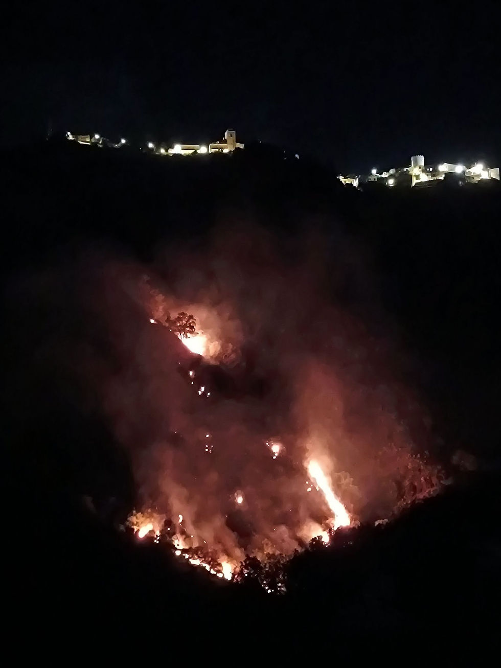 Incendio questa sera a Piraino. Le fiamme interessano un'area di vegetazione. Vigili del Fuoco al lavoro, situazione in aggiornamento.
Fiamme questa sera nel territorio di Piraino. Vigili del Fuoco impegnati nelle operazioni di spegnimento.
