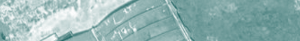 Dammarie-les-Lys - Friche - Vert.png