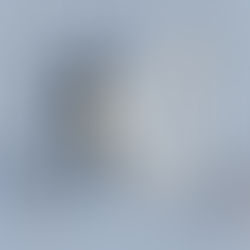 Edition du Manifeste de la Psychanalyse du Seuil - optimiser l'approche de l’art contemporain