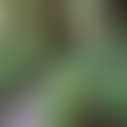 Writers Journal #13: A Ticket to Anywhere