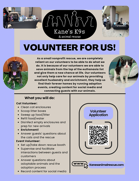 Volunteer for us!.png