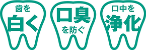 BW(DP)tooth-point.png