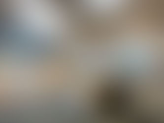 Essential Factors to Consider When Choosing a Grooming Shop