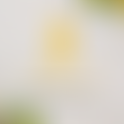 国際女性デー(International Women's Day)の役割