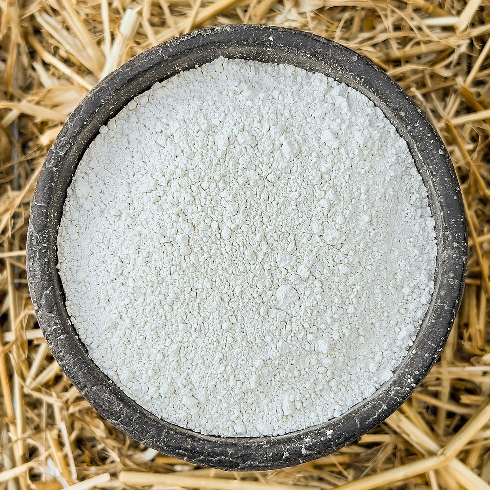 Braugips (Calciumsulfat) 500g