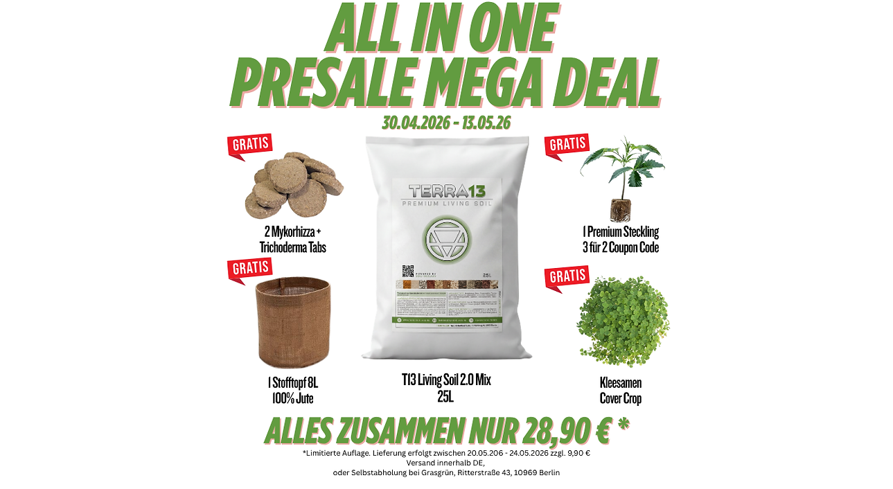 Promo (Website) (3).png