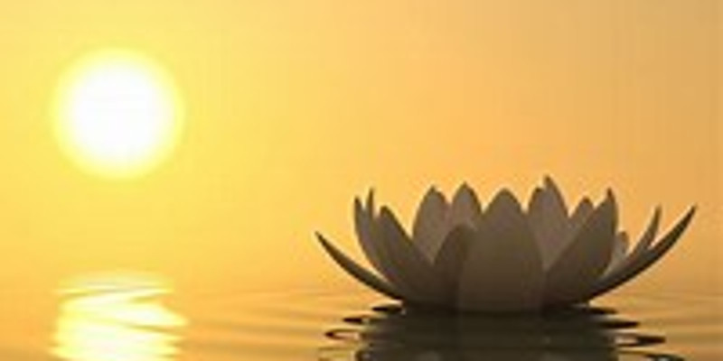 Manifestation Meditation (1)