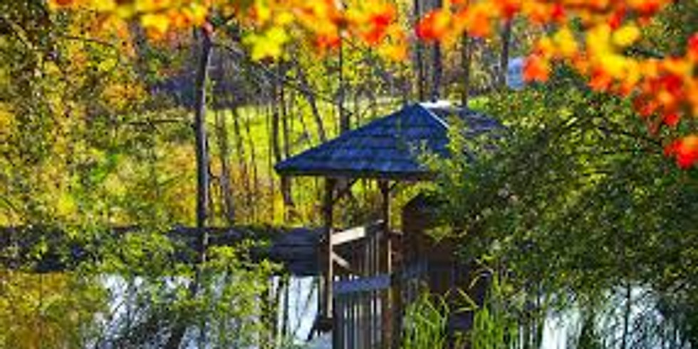 A Chakra Journey through Asanas & Meditation Retreat