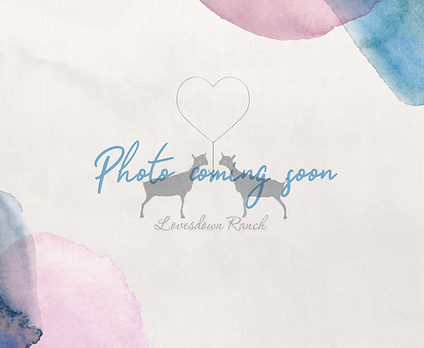 photocoming