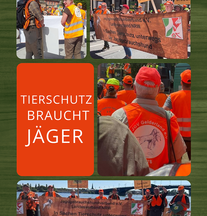 Beige Braun Weiß Modern Moodboard Vision Board Foto Collage Instagram Beitrag.png