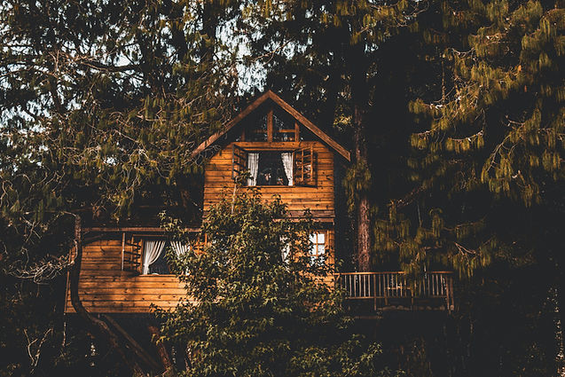pexels-angelacavina-2380249.jpg
