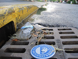 Catch basin trash.JPG
