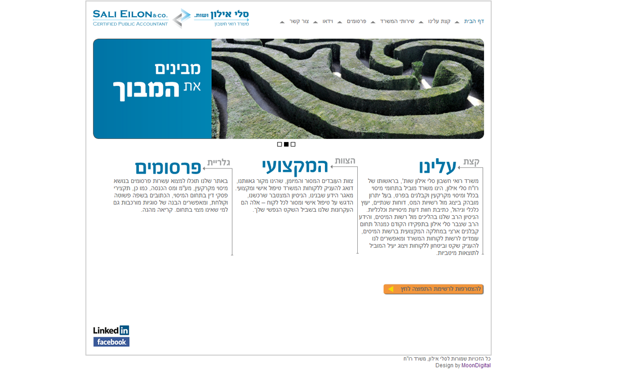 סלי אילון רו"ח
