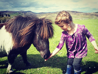 Highland Croft Holiday.jpg