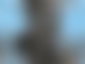 What is it all about?