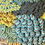 Miniature : SCLPTURE ART TEXTILES REF FORET
