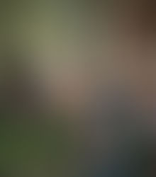 The Met Gala 2024: Straight out of a Fairytale