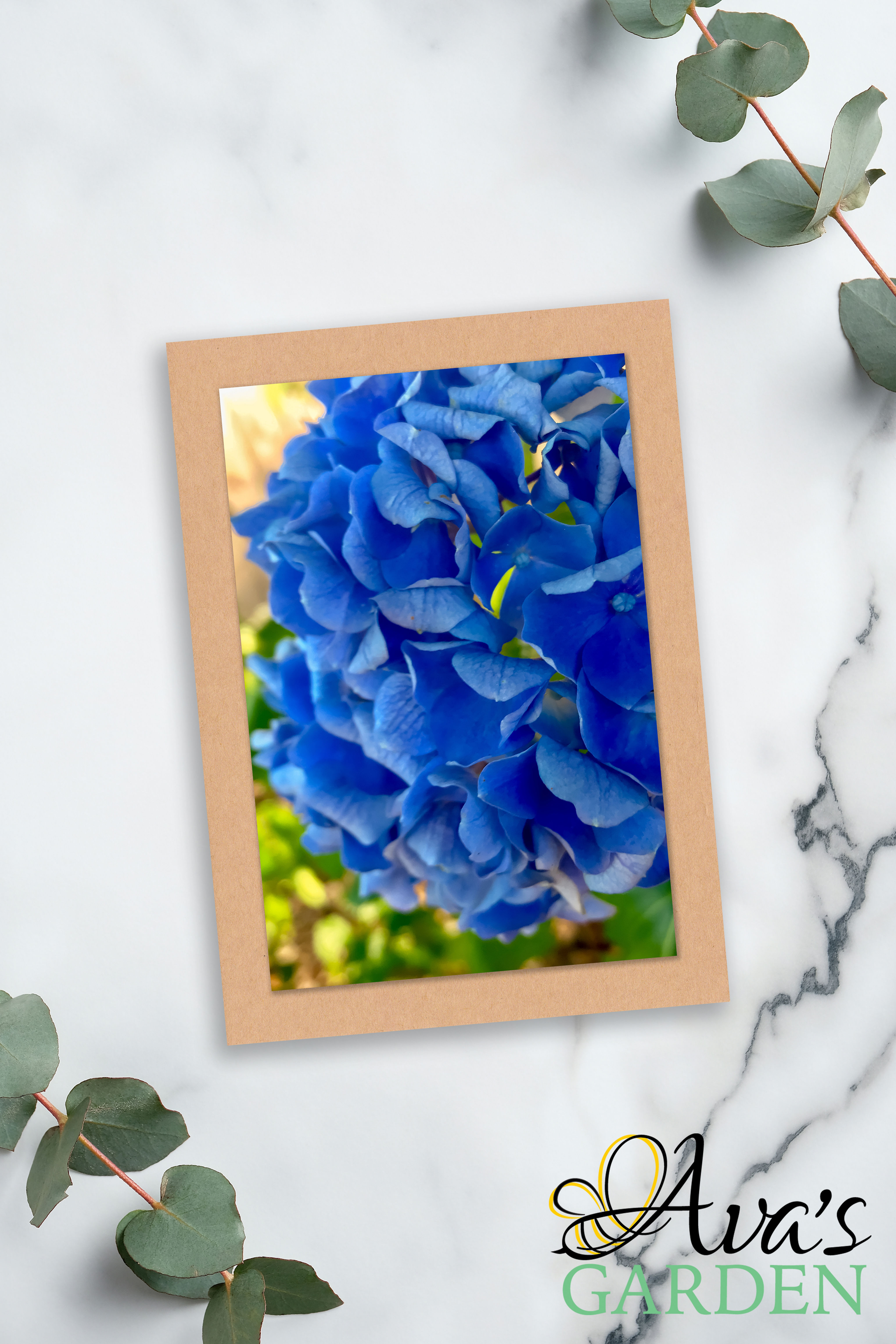 Blue Hydrangea Blank Greeting Card