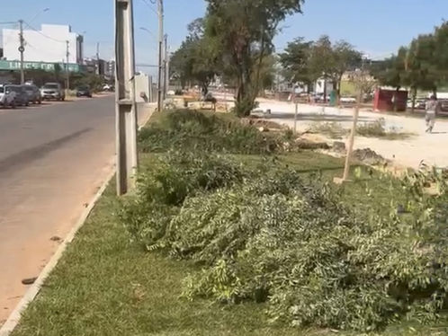 Vídeo de empresário cobrando respostas sobre corte de árvores na Av. Kiichiro Murata gera repercussão
