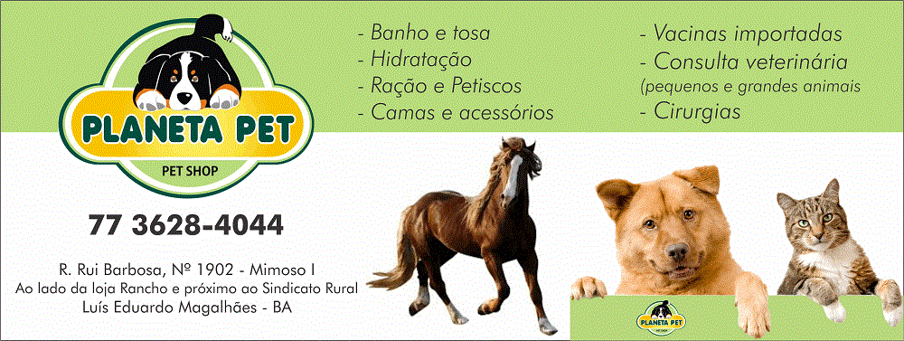 A melhor opção para cuidar do seu animal