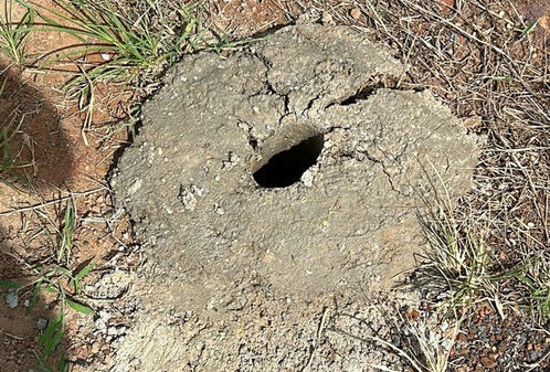 LEM: A Secretaria de Segurança e Trânsito, por meio da SUTRANS, faz um alerta sobre furtos e vandalismos em placas de trânsito