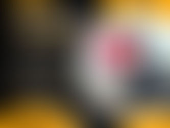 Transforme Seu Futuro com Nosso Curso de Operador de Empilhadeira!