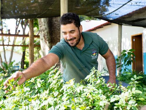 Secretaria de Sustentabilidade orienta quais espécies do Cerrado plantar em frente à casa