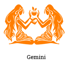3 gemini