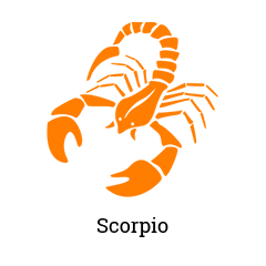 8 -scorpio
