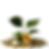 moneyplant.png