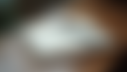 Understanding the Basics of Estate Planning by Craig Fine, Esq.