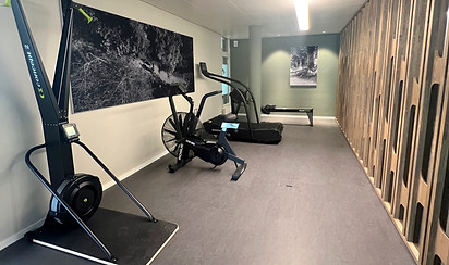 Endurance area with ski ergometer, air bike, curved treadmill and a rowing ergometer.