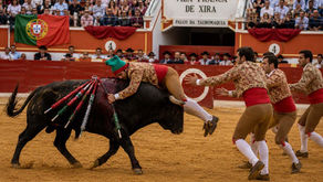 The Portuguese Festa: Blood, Dust, and Honor