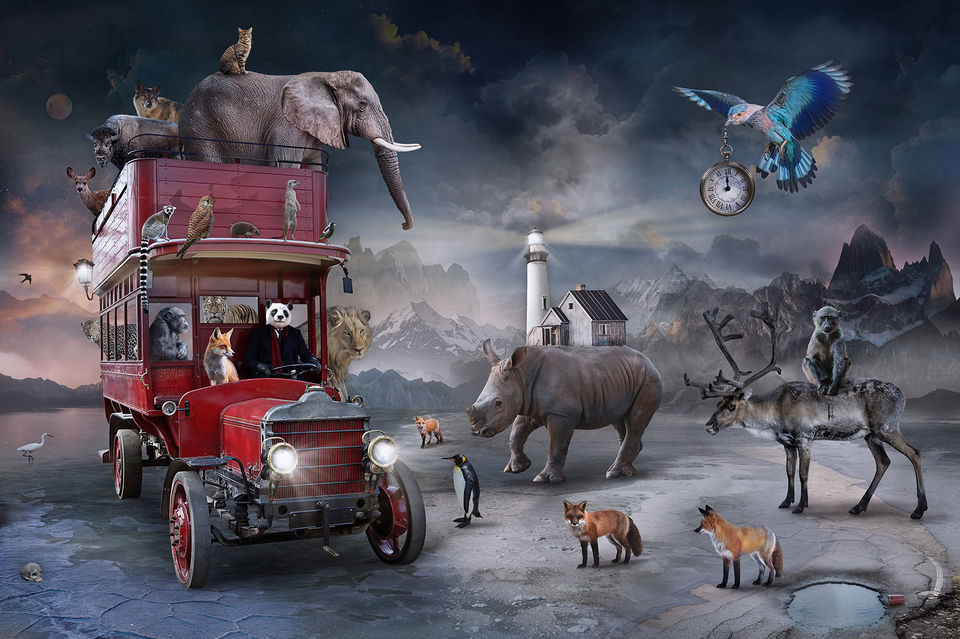 THE LAST BUS TO PARADISE 2021 WEB.jpg