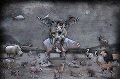 PARADISE LOST 2011-2015 | photography