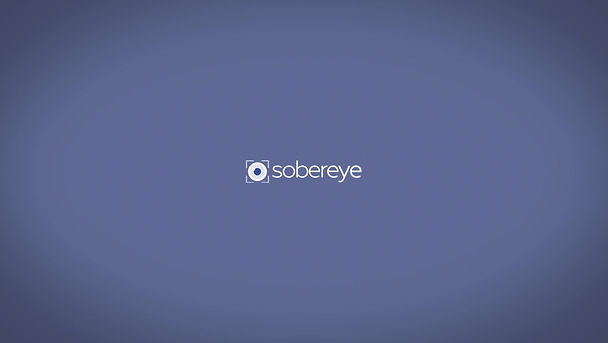 SOBEREYE - How it works