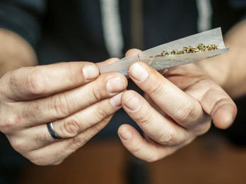 Testing drivers for cannabis is hard. Here's why