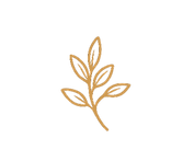4CF5C6DF-47E8-43F8-8BB5-4D1C1ECA9359_edited_edited.png