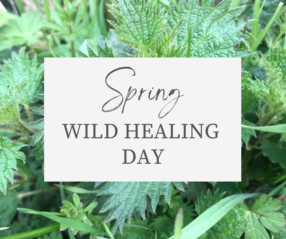Spring Wild Group Spring Wild Healing Day | The Wild Edges