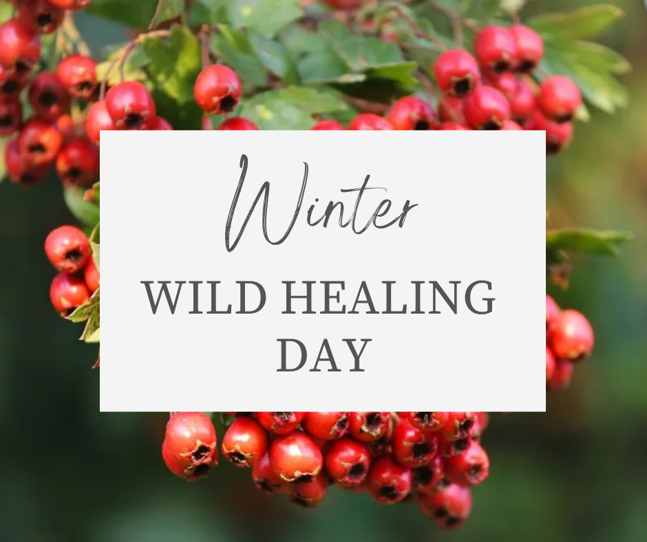 Winter Wild Healing Day
