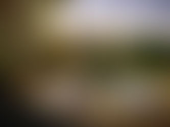 5 reasons not to stay at Brook Cottage Shepherd Huts (and why that's perfectly OK)